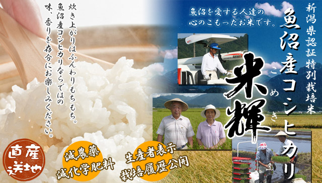 特別栽培米魚沼産コシヒカリ米輝